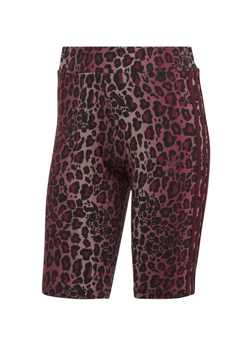 Colanti BIKE LEGGINGS HK5192